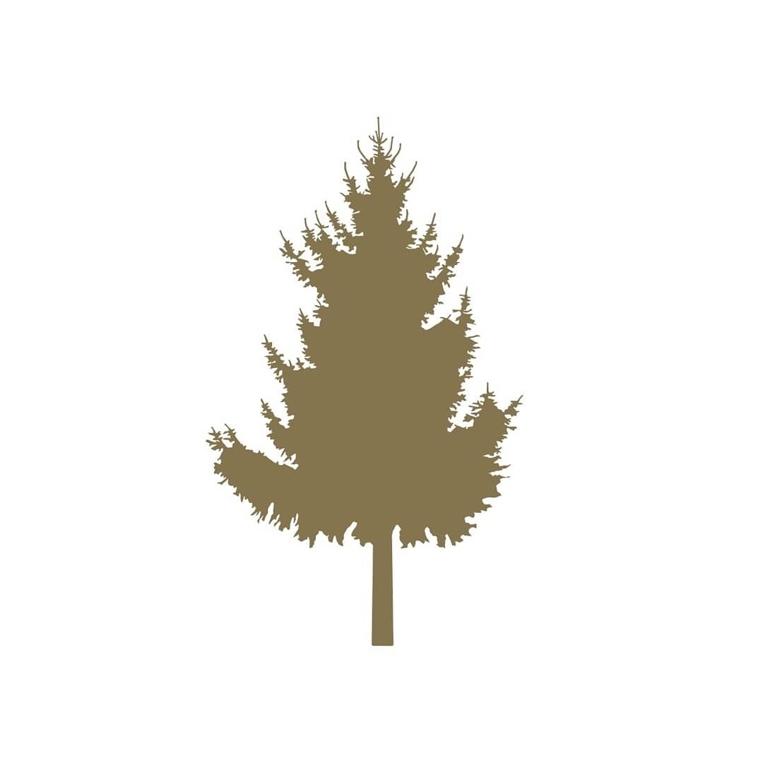 Veve Coffee Logo